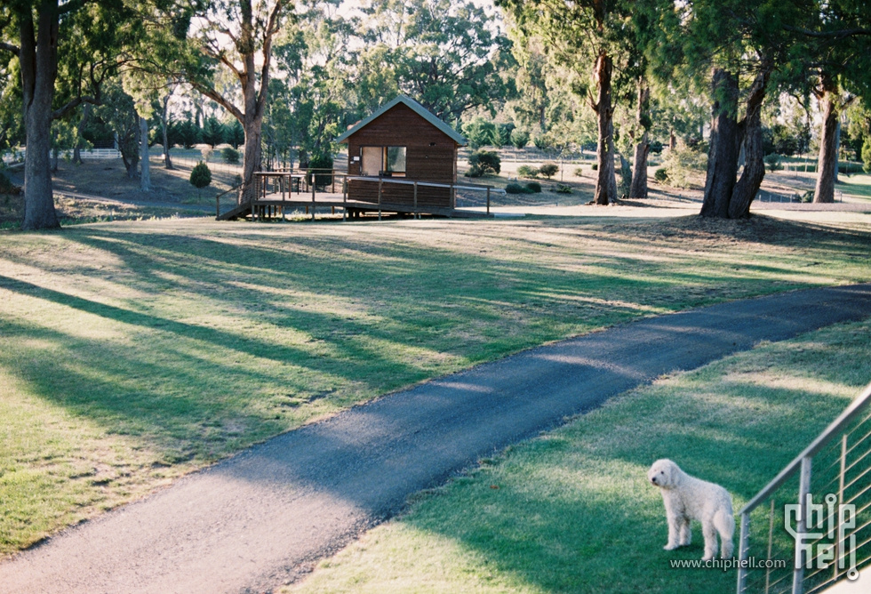 胶卷20191118-19_FUJI100-32.jpg