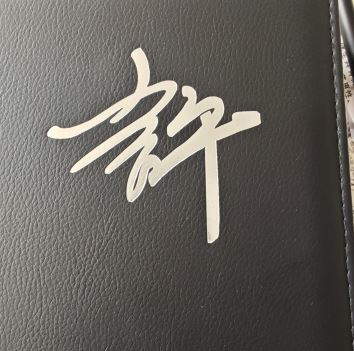 虚心LOG特写.JPG