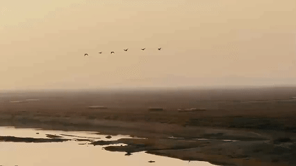 1月15日(2).gif