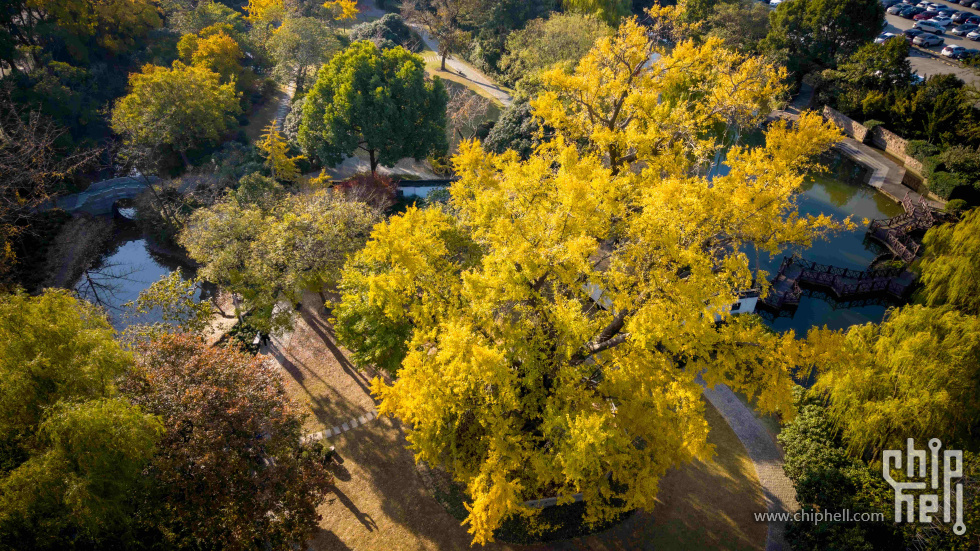 DJI_20241209083652_0044_D-HDRCHHHHHH11.jpg