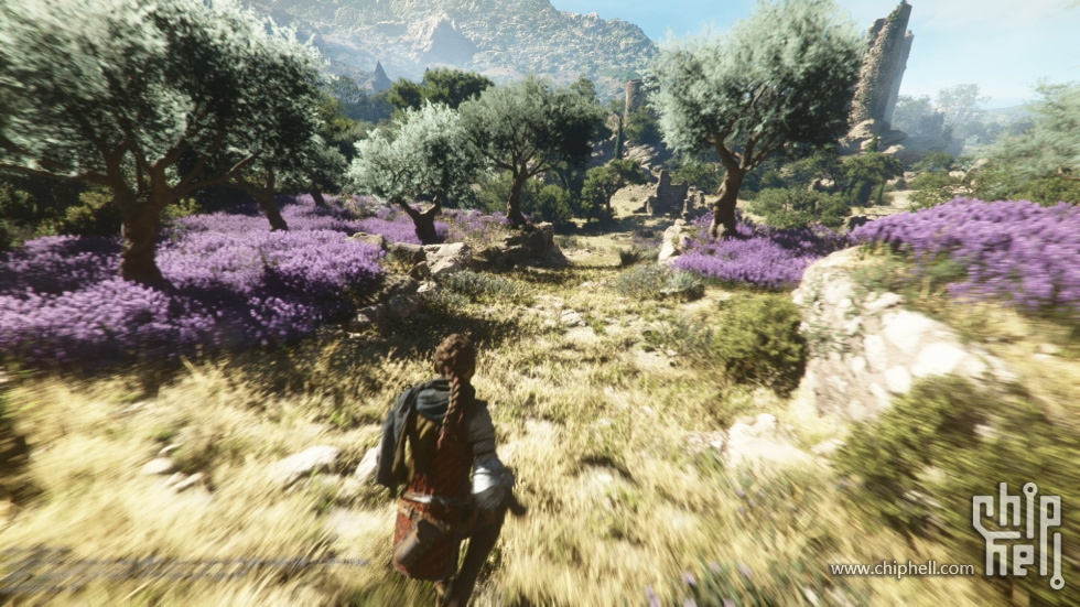 grass.jpg