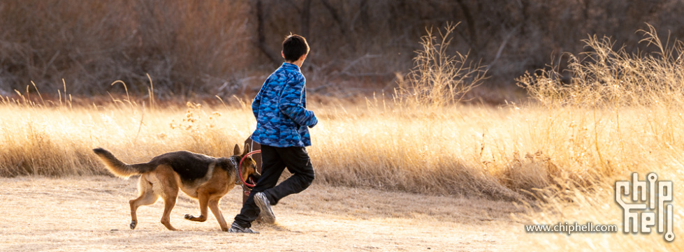 A7R01013-xpan.jpg