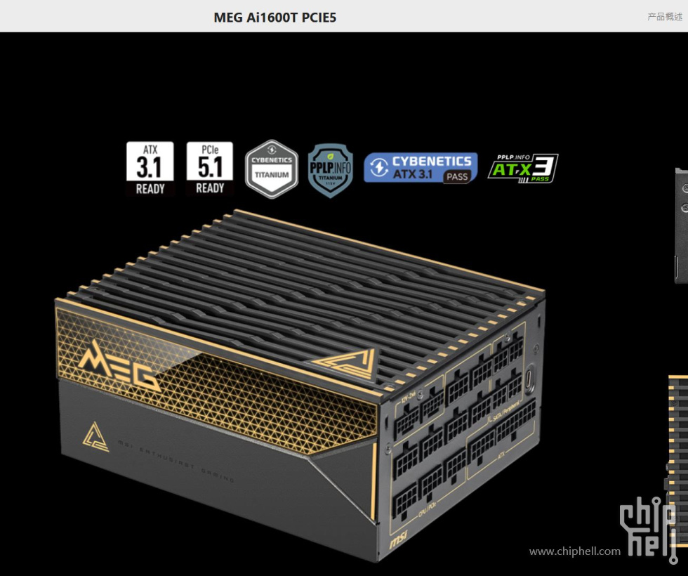 meg ai1600T.JPG