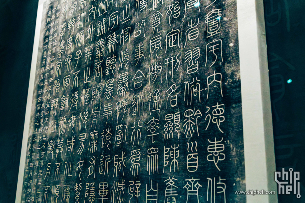 DSC03030-已增强-降噪.jpg