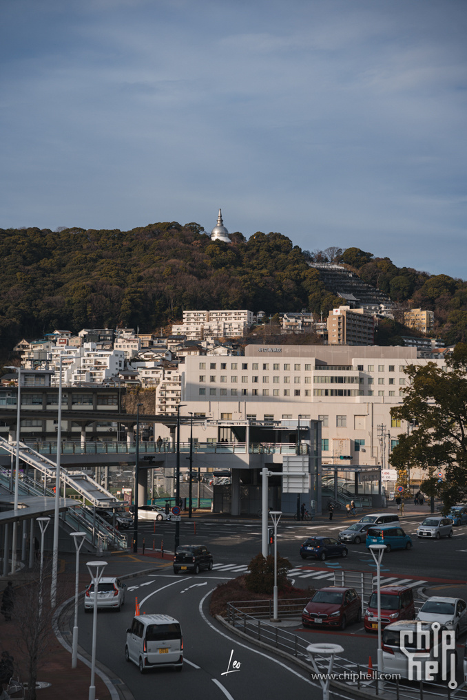 DSC01415(1).jpg