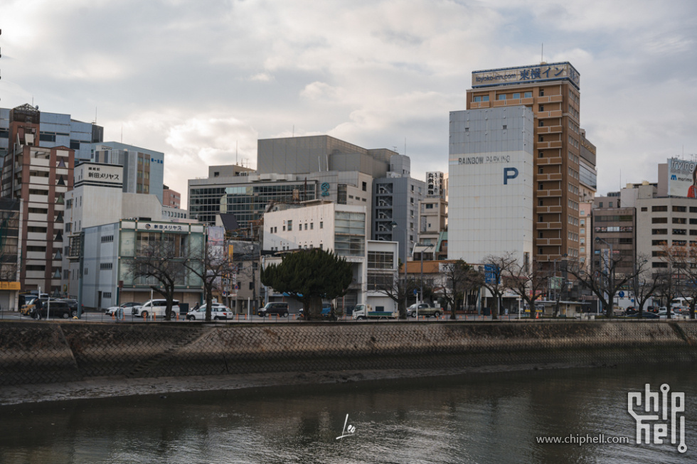 DSC01487.jpg