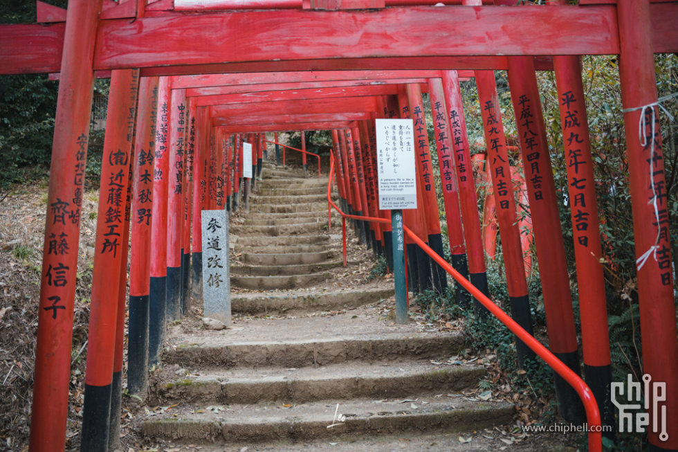 DSC02336.jpg
