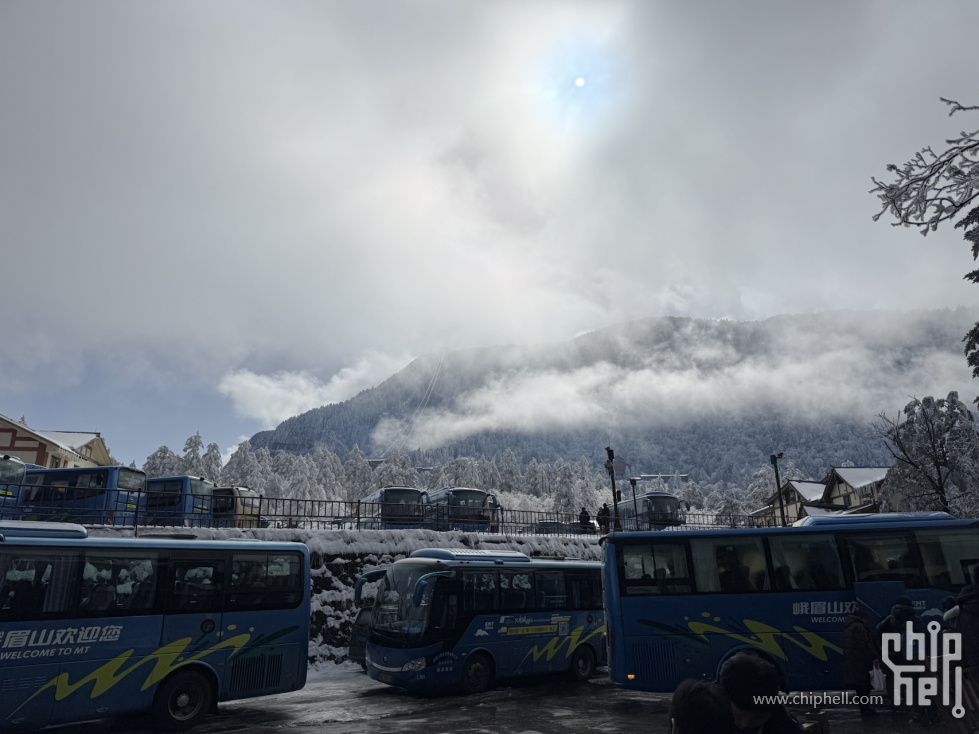 IMG_4800.HEIC_compressed.JPEG
