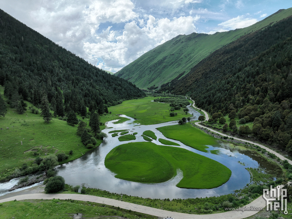 DJI_0463.JPG_compressed.JPEG
