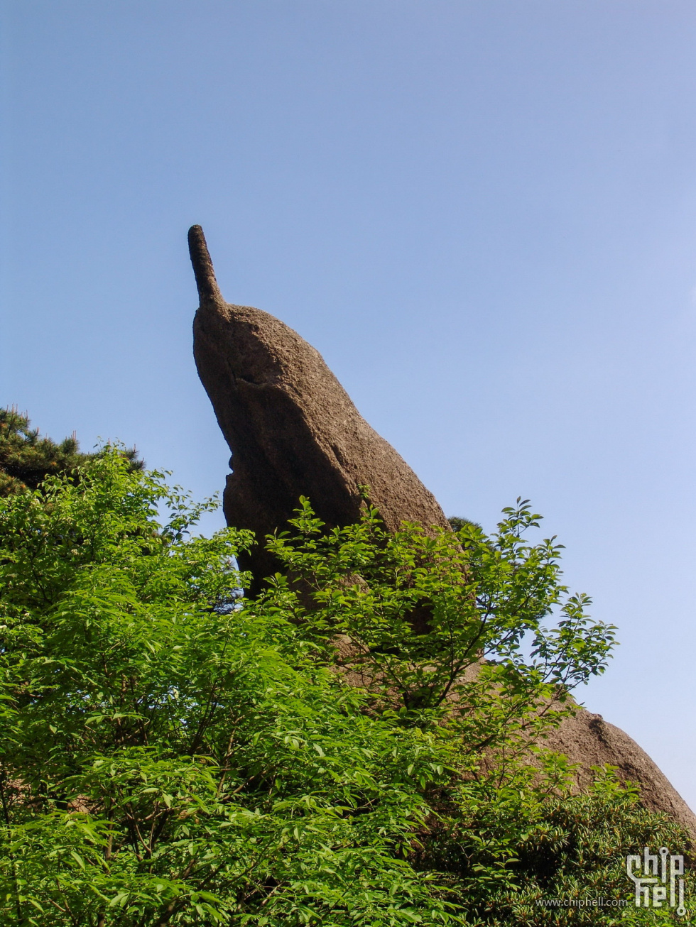 DSC00474_resize.jpg