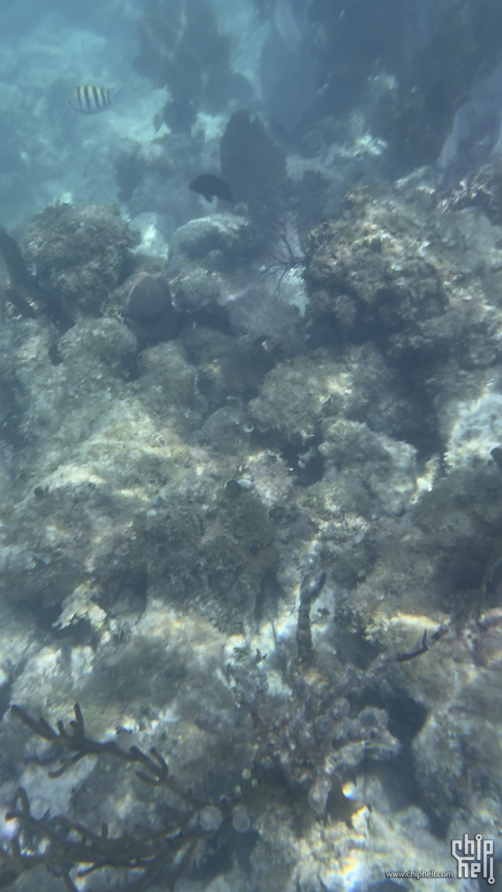 Frame 46.jpg