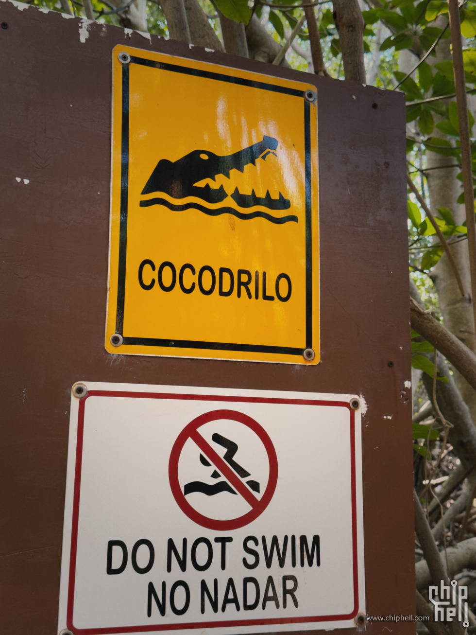 IMG_7537_1.jpg