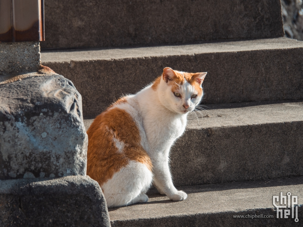 P2093165.jpg