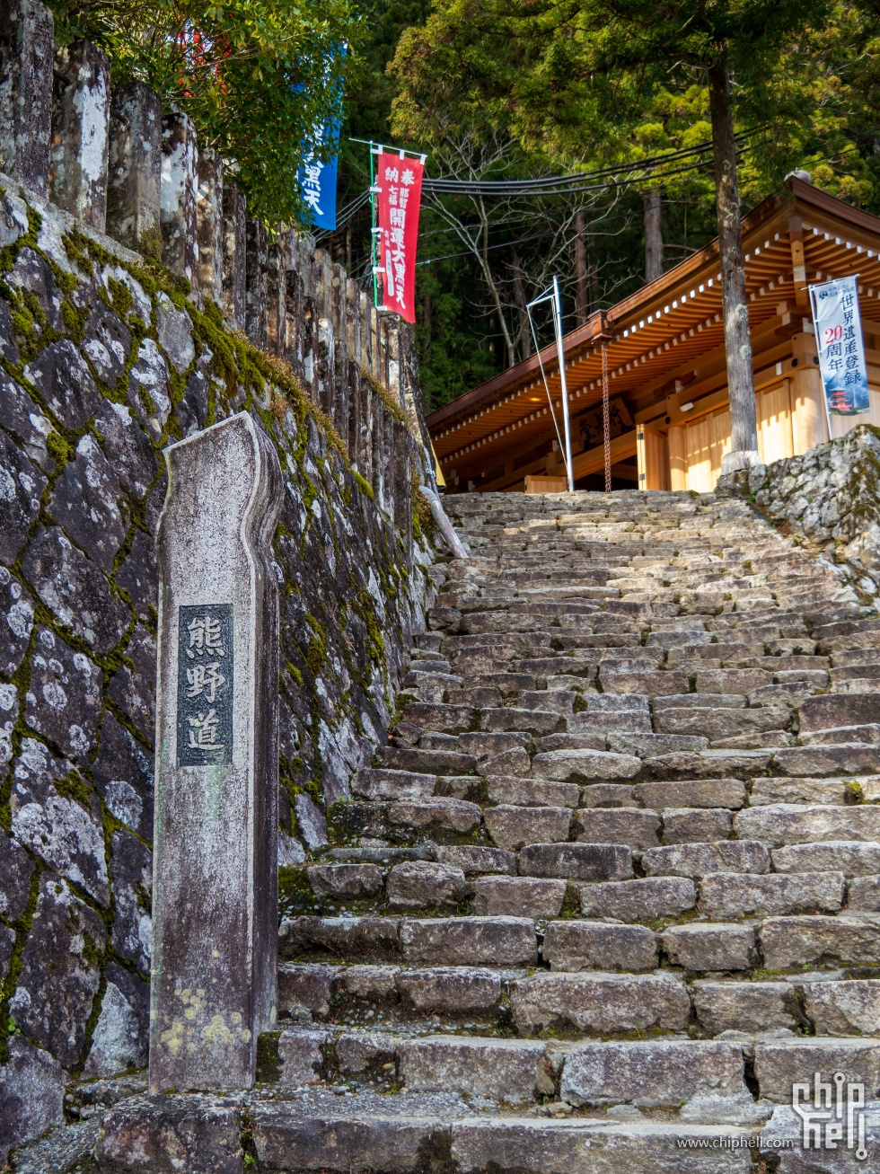 P2134183.jpg