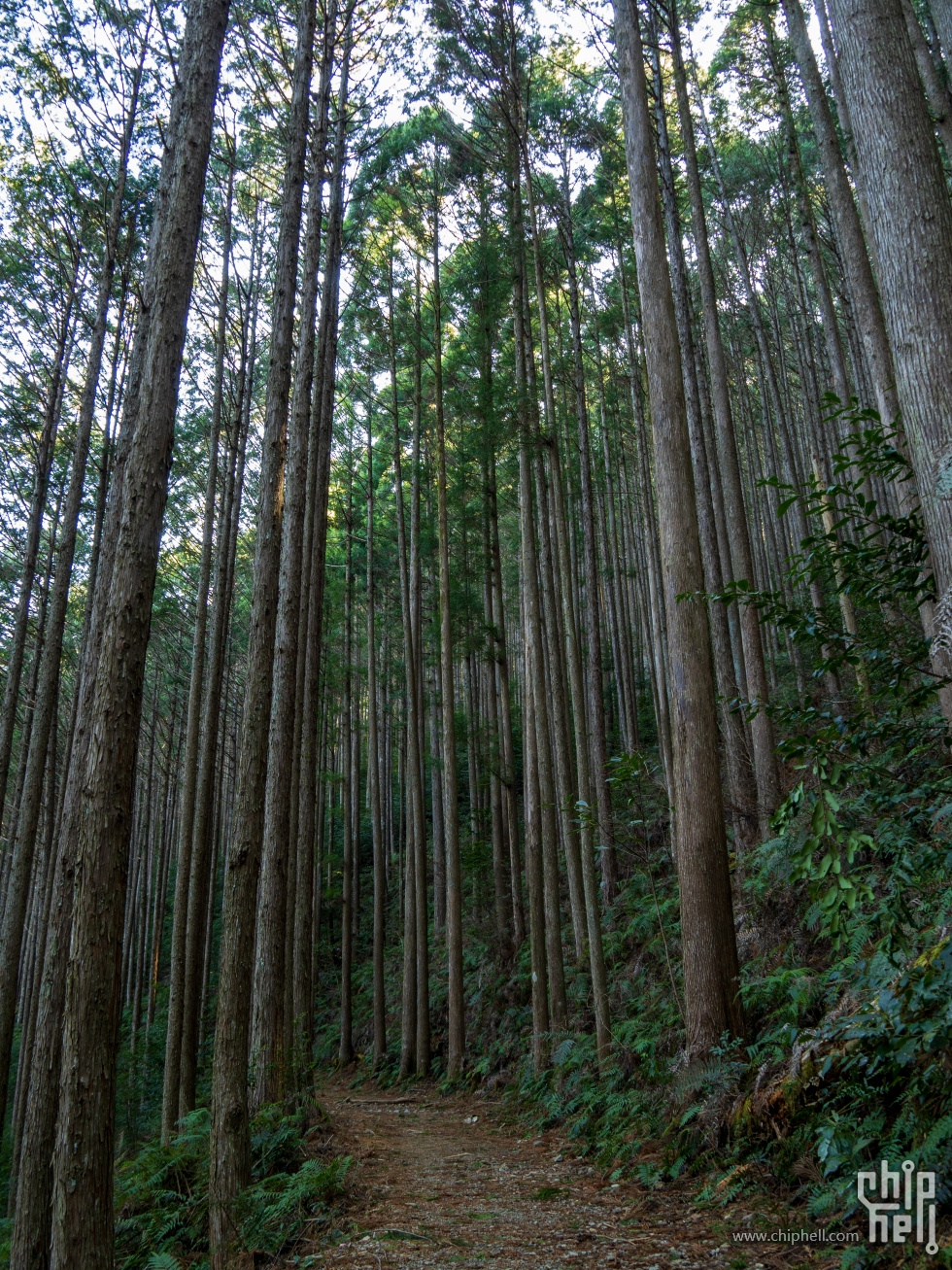 P2144312.jpg