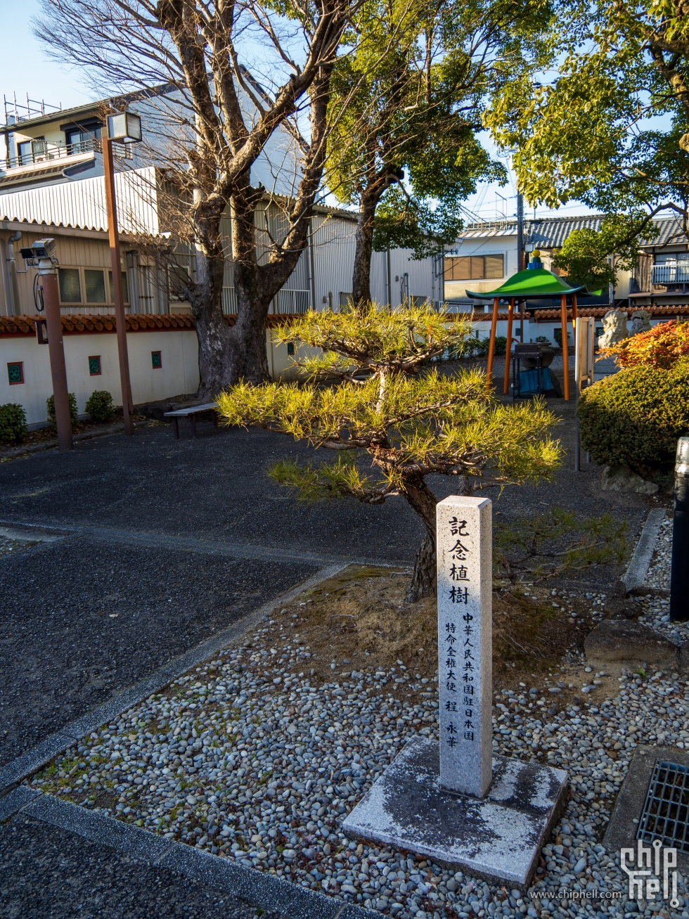 P2144446.jpg