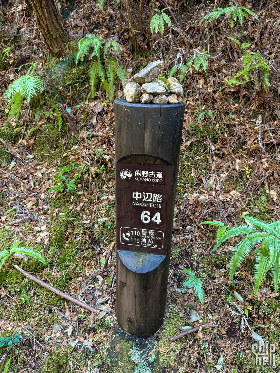 IMG_9446.jpg
