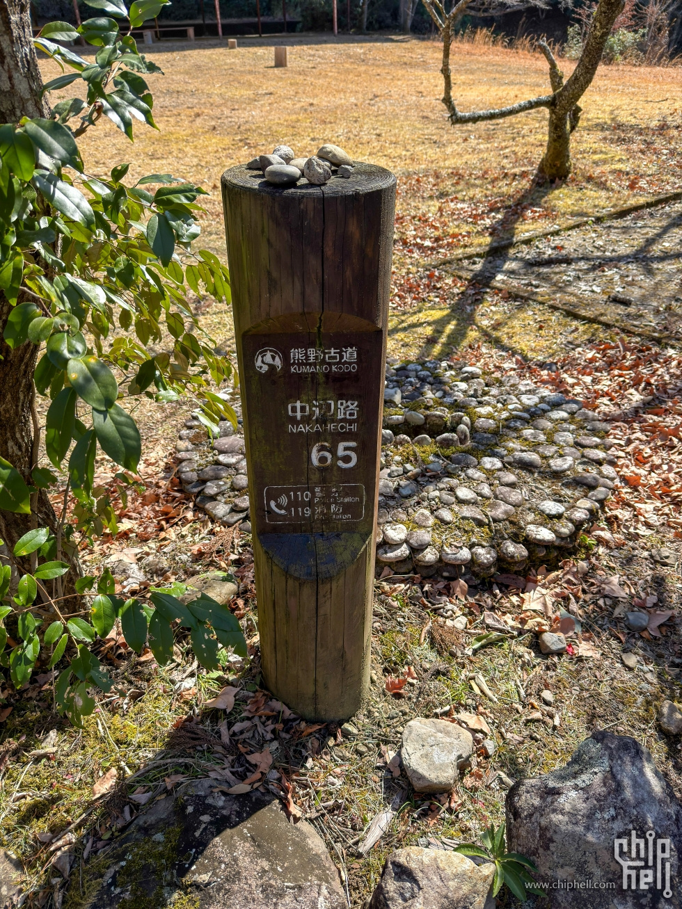 IMG_9452.jpg
