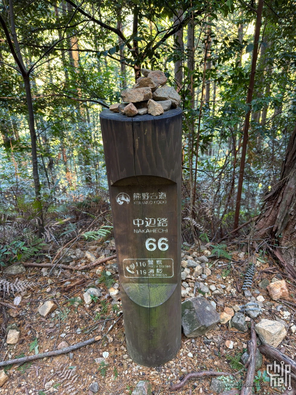IMG_9468.jpg