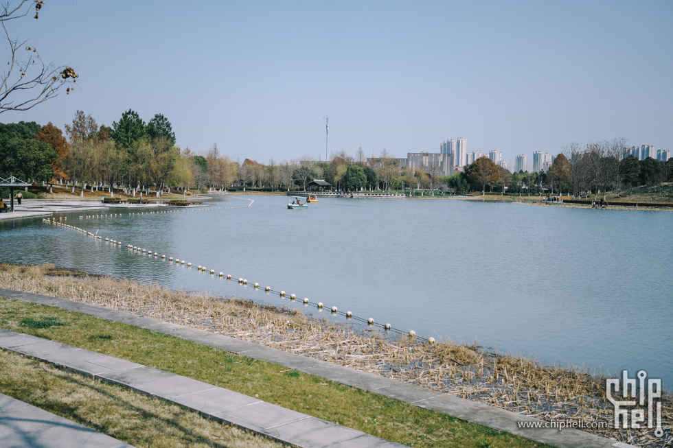 公园 (4).jpg