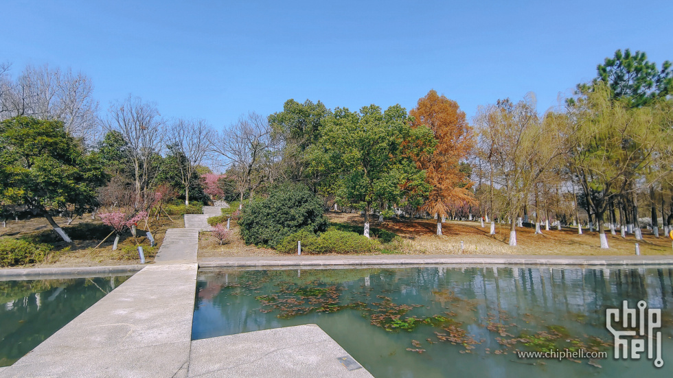 公园 (15).jpg