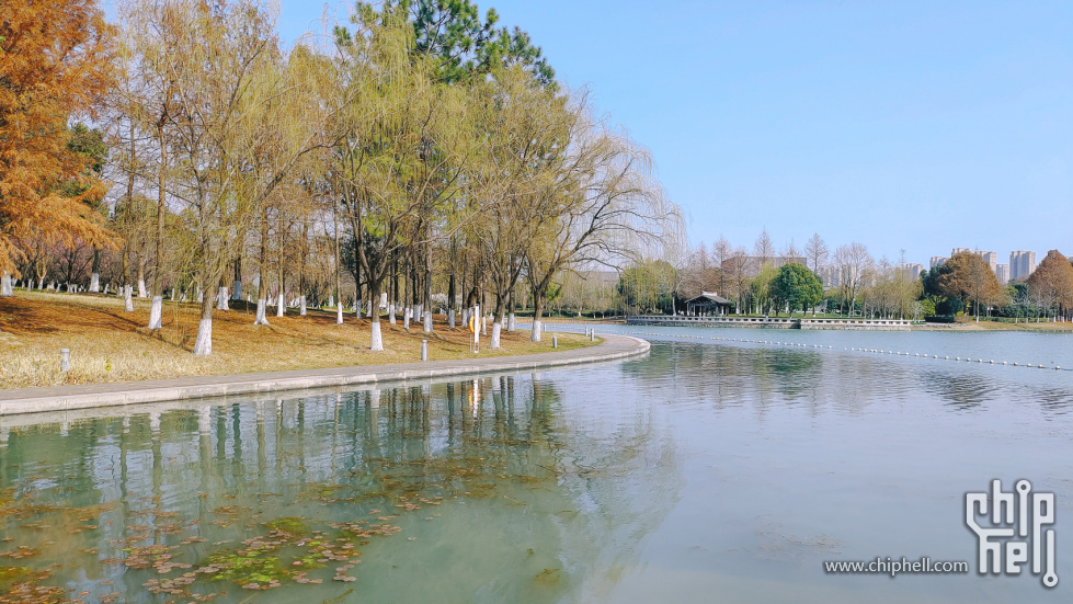 公园 (16).jpg