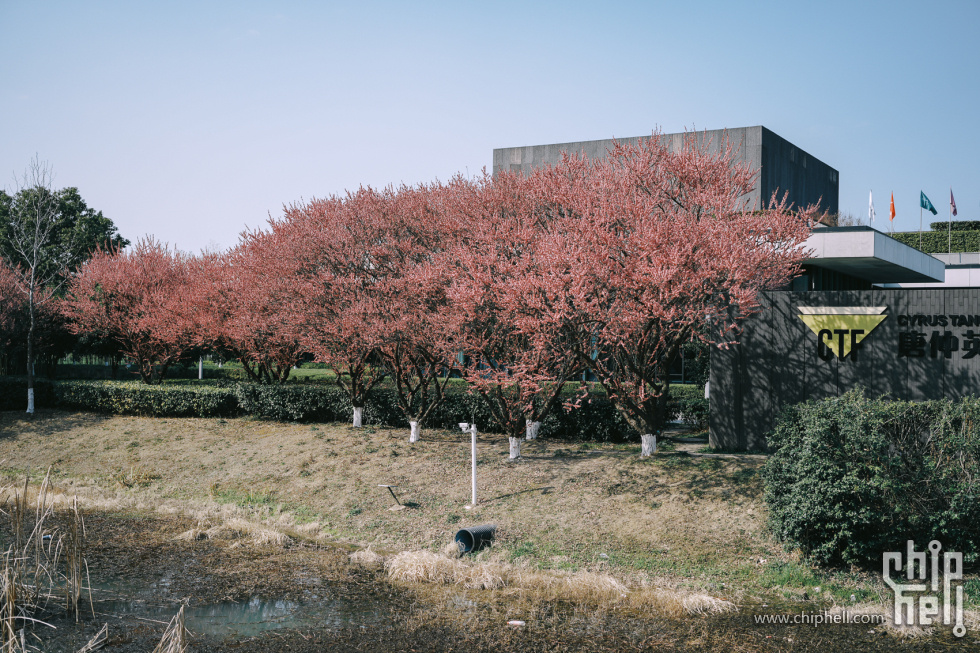公园 (11).jpg