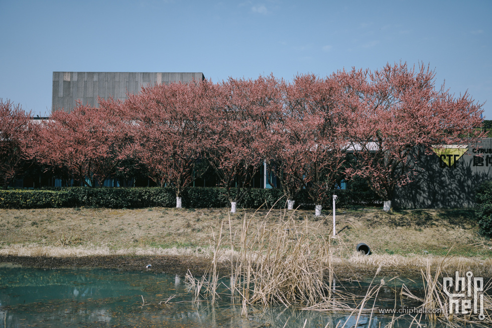 公园 (13).jpg