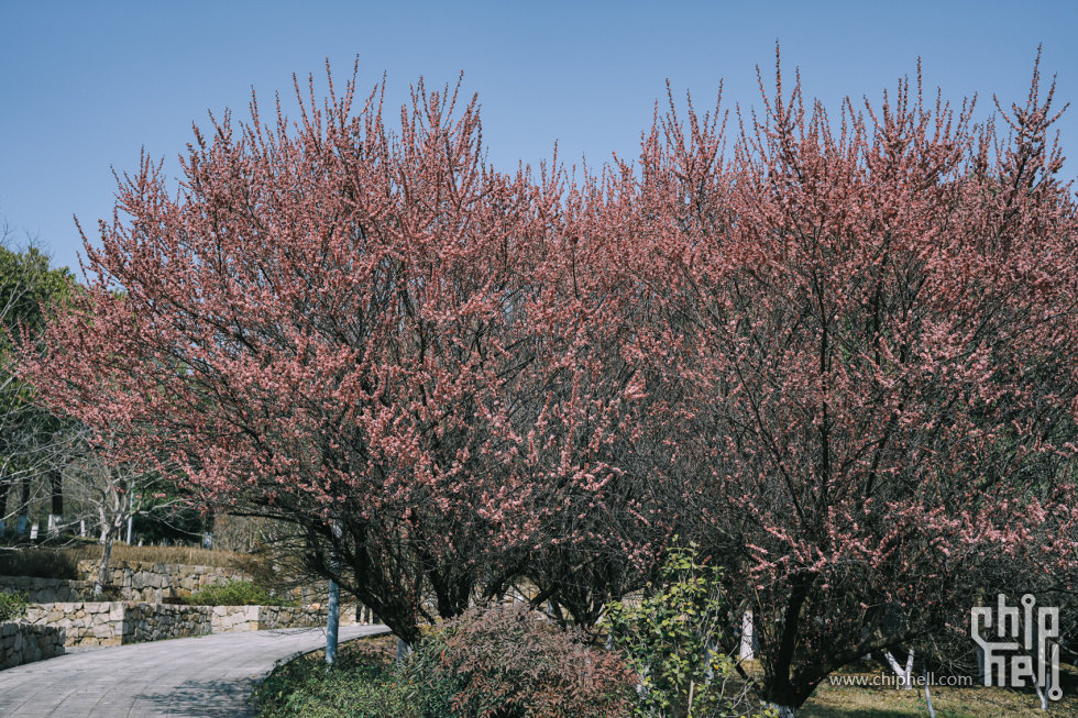 公园 (14).jpg