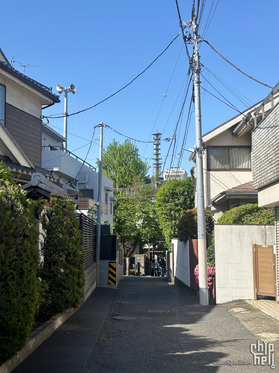 IMG_1248.jpeg