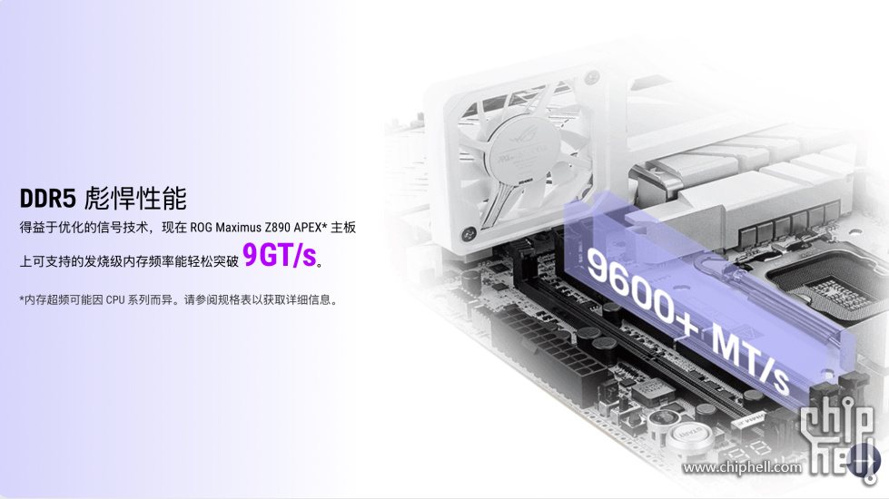 z890 apex宣传页