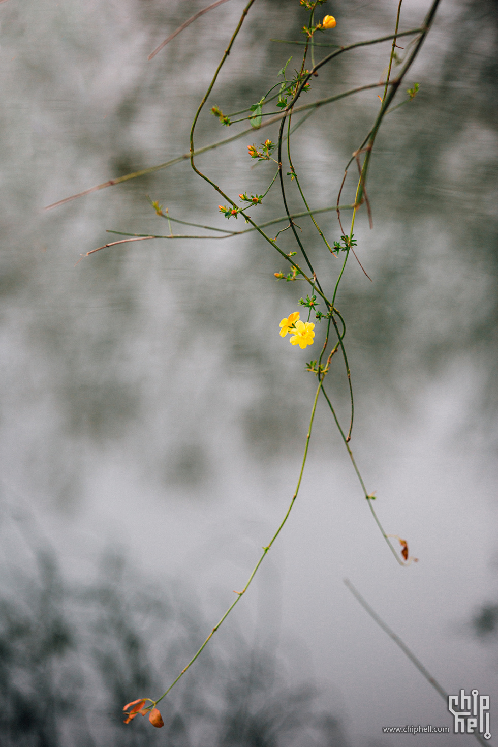 _MG_5944.jpg