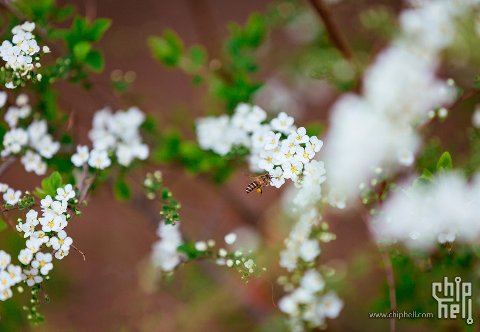 _MG_5959.jpg