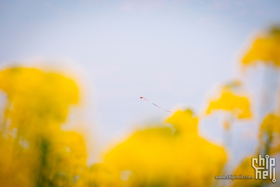 _MG_6357.jpg