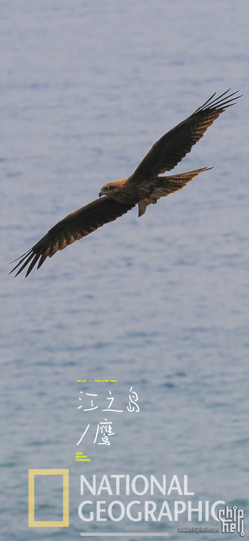 7051E923-15AD-4F34-BC2E-1770E25B479D_L0_001.jpg