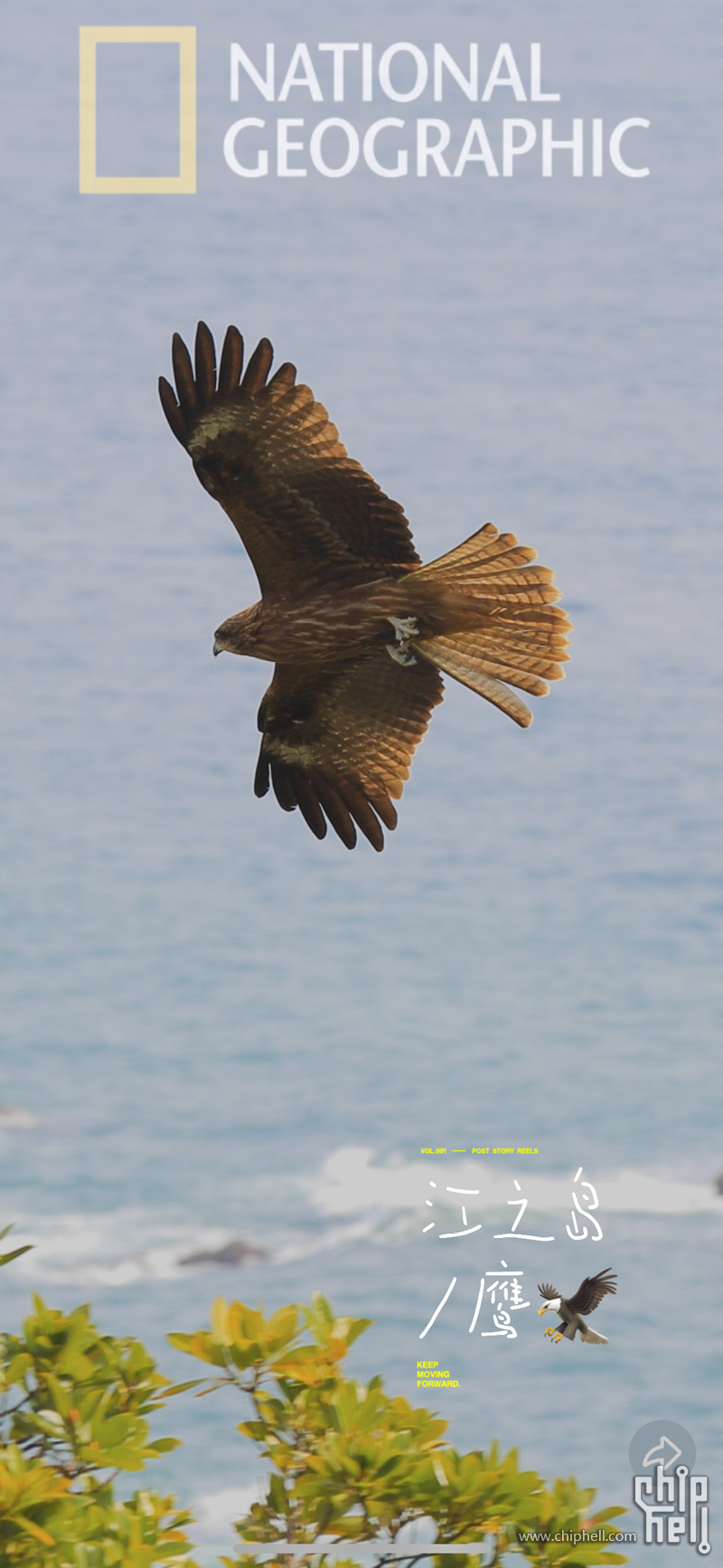 21829E53-5513-4AFB-8687-D187D773C596_L0_001.jpg