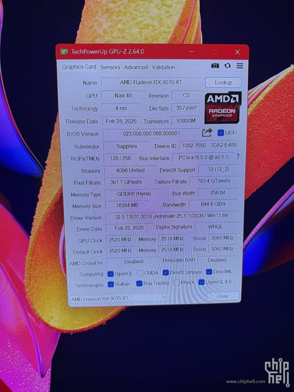 AMD.jpg