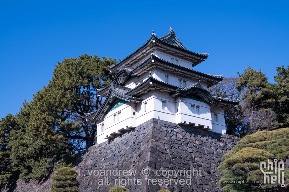 Tokyo-07135.jpg