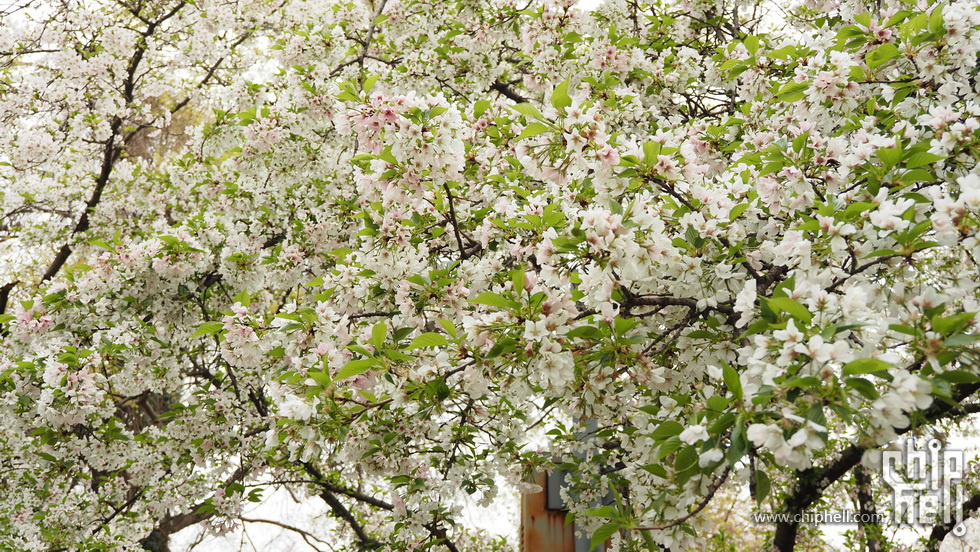 P3230321.JPG