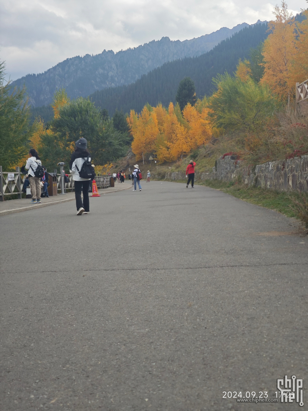IMG_20240923_172135.jpg