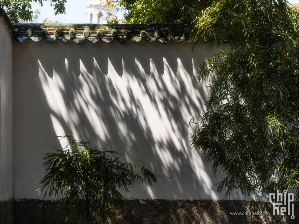 DSCF7213-编辑_PerfectlyClear.jpg