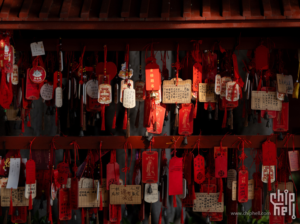 DSCF5432.jpg
