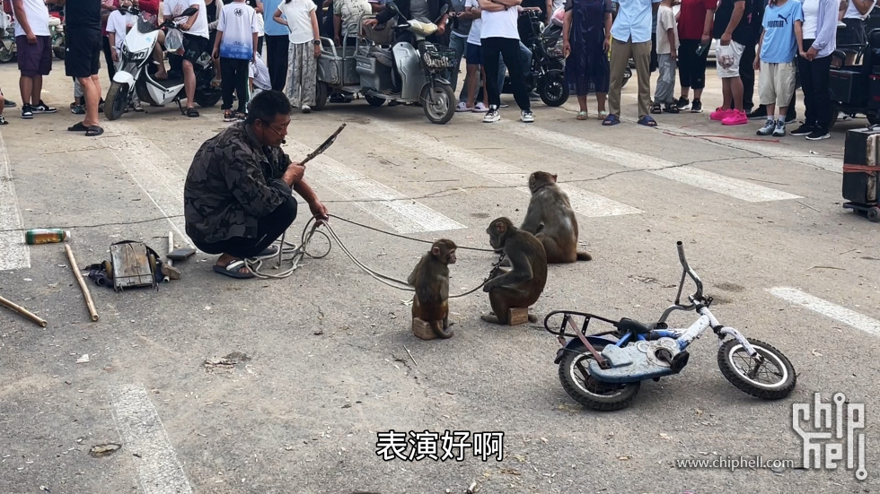 耍猴.jpg