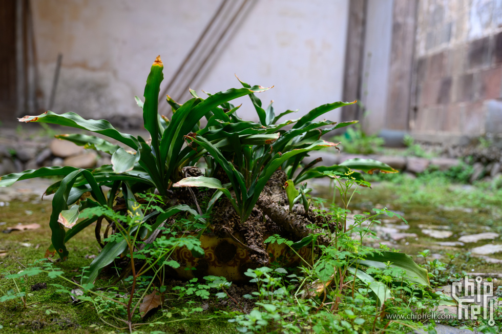 _CTK9890-已增强-降噪.jpg