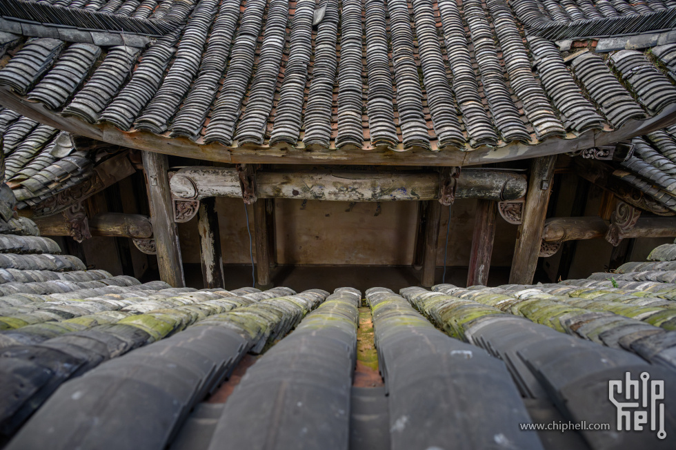 _CTK9923-已增强-降噪.jpg