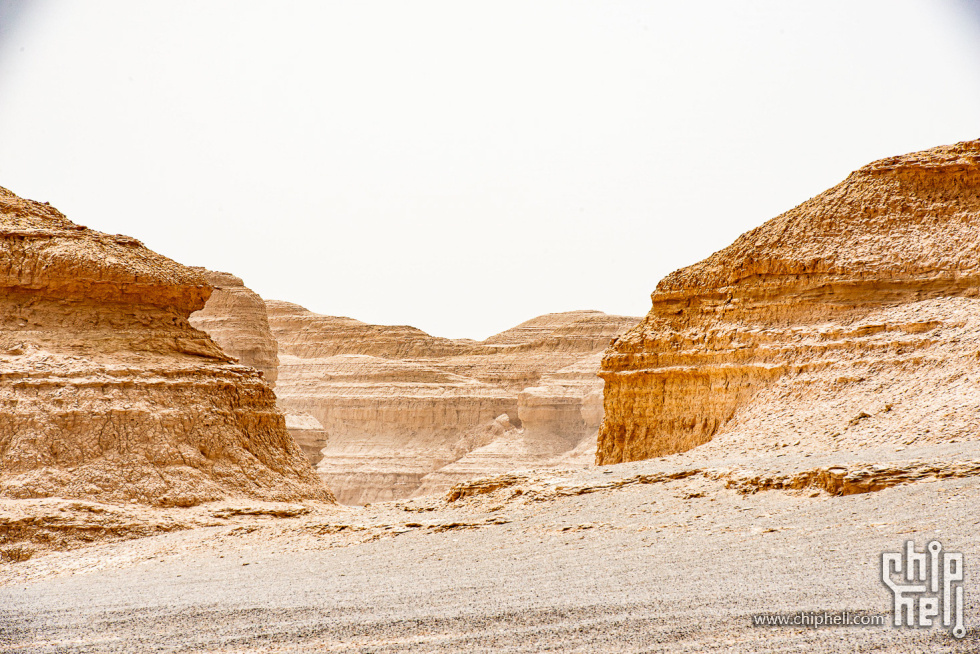 _DSC6256jpgsmall.jpg