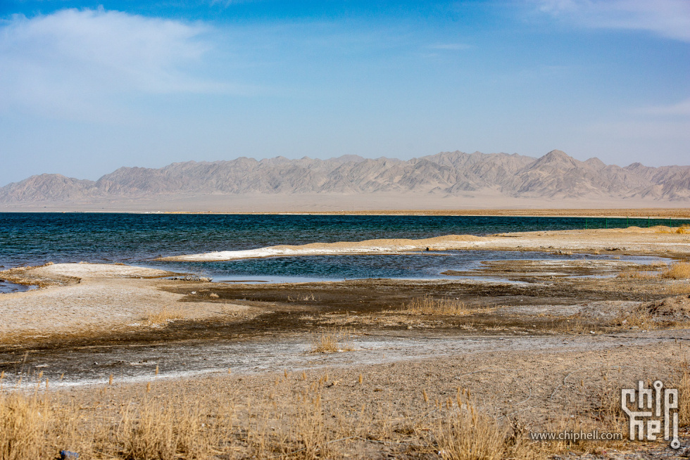 _DSC6416jpgsmall.jpg