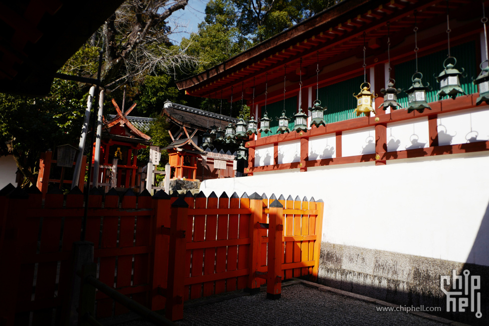 L1070598 拷贝.jpg