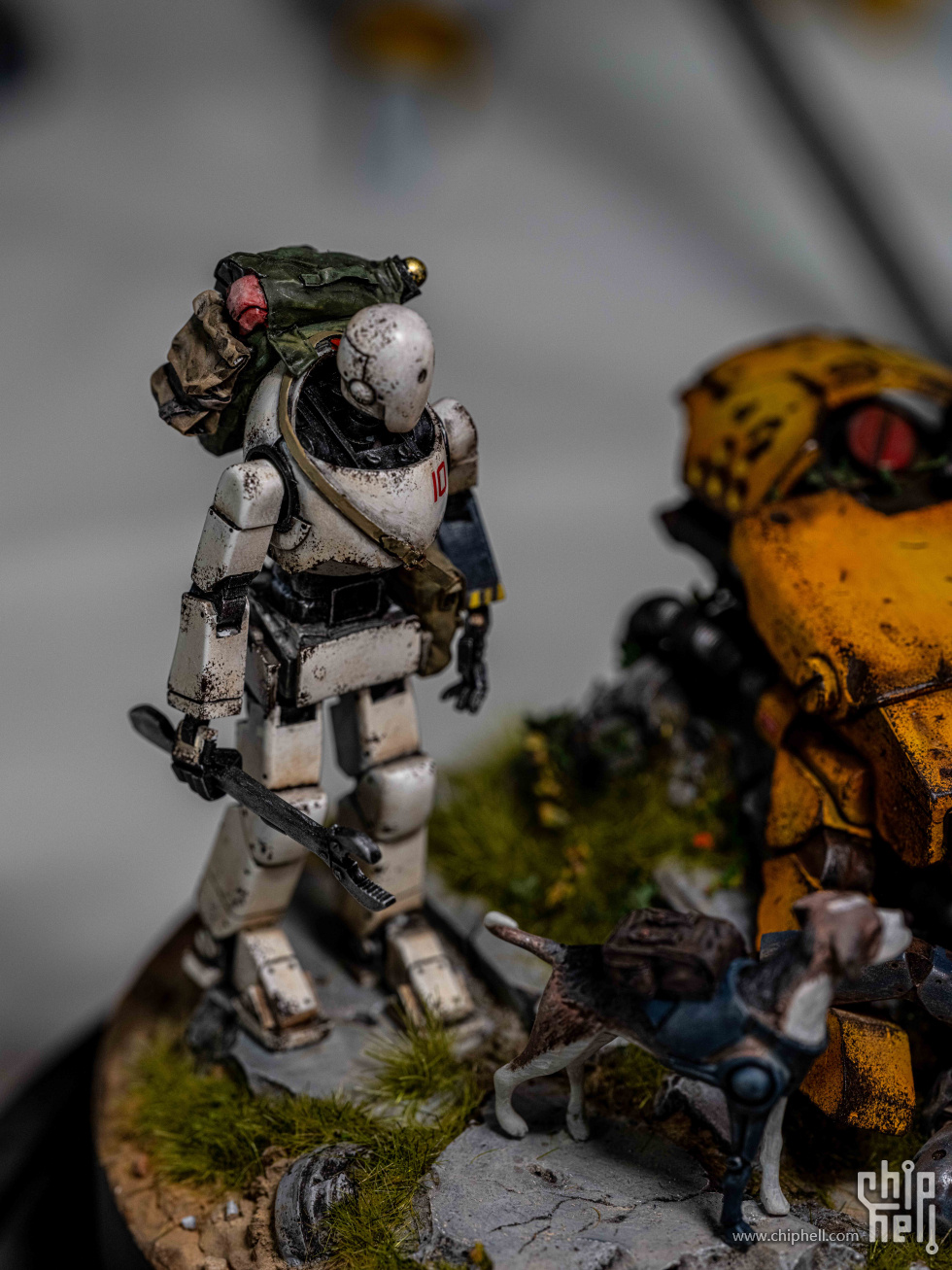 _DSF0698.jpg