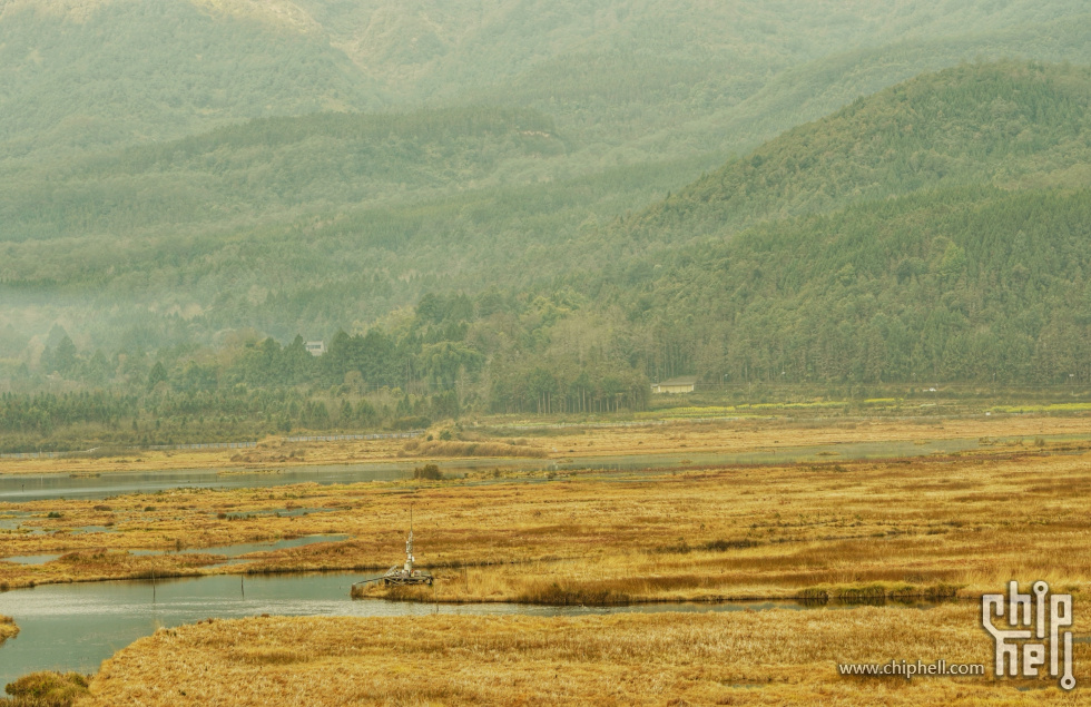 湿地公园.jpg